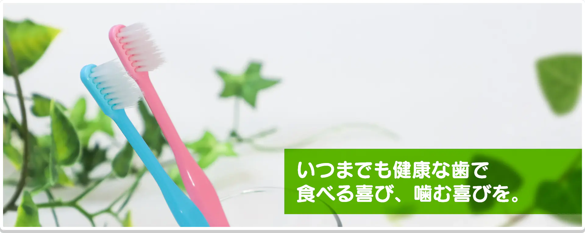 いつまでも健康な歯で食べる喜び、噛む喜びを。